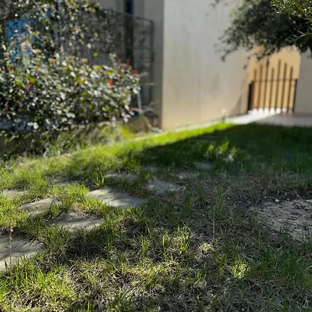 Seanest Greencoast Willa *